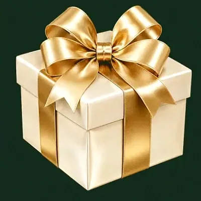 Ribboned gift box — Wild Dice