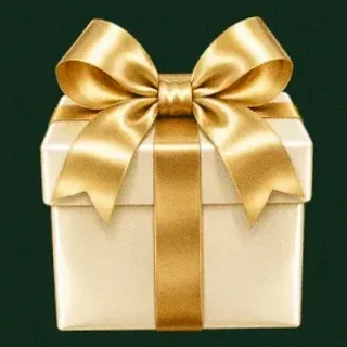 Ribbon gift box — Wild Dice