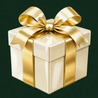 Wrapped gift box — Wild Dice