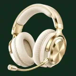 Gaming headset — Wild Dice