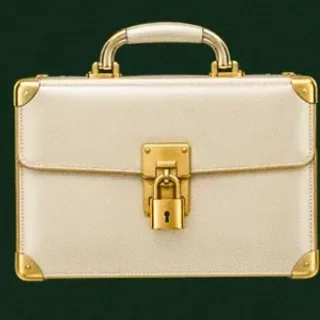 Locked leather briefcase — Wild Dice