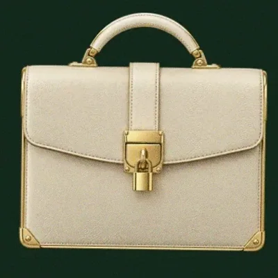 Locked leather briefcase — Wild Dice